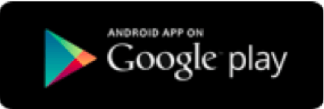 Google Play Store Logo